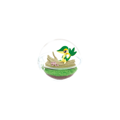 Pokemon Re-Ment Terrarium Blind Box